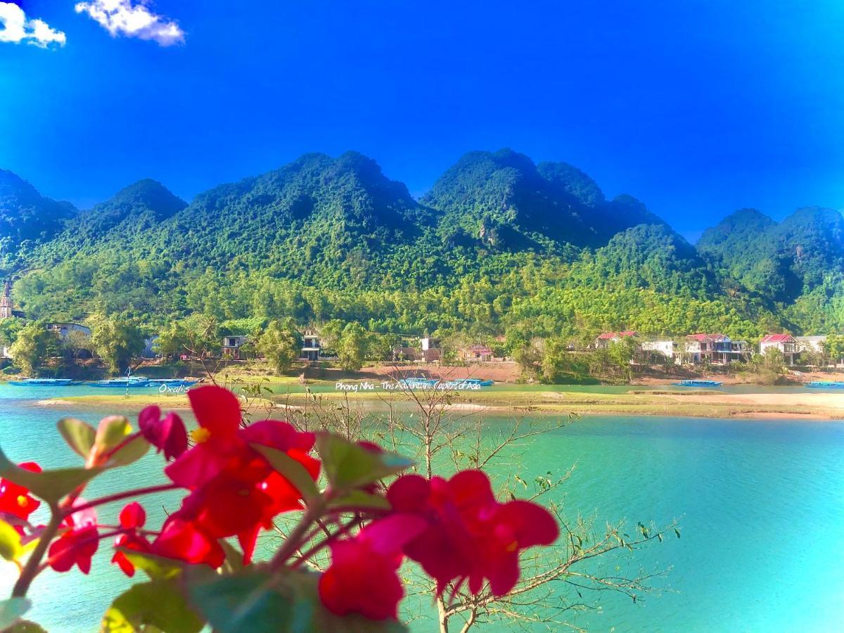 Areca Bungalow Phong Nha Eksteriør billede
