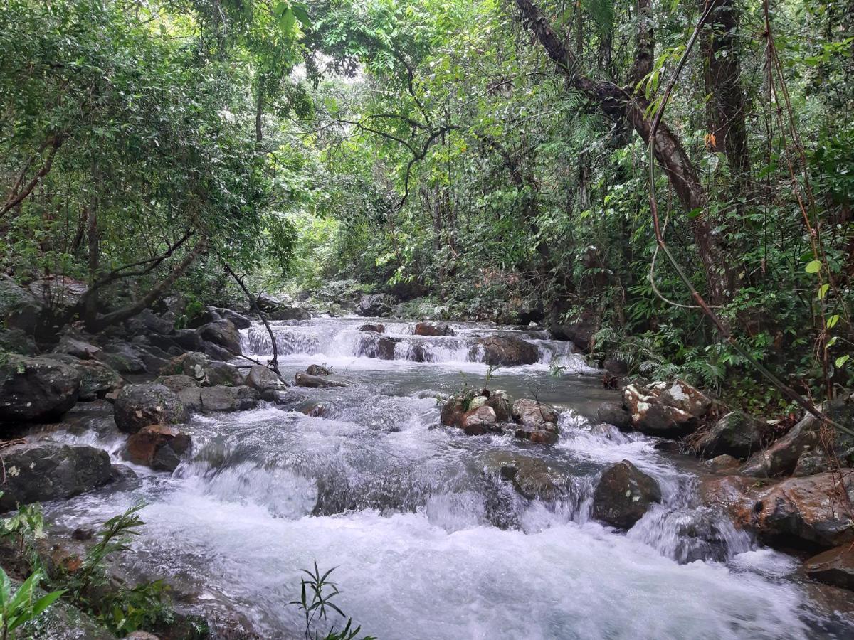 Areca Bungalow Phong Nha Eksteriør billede